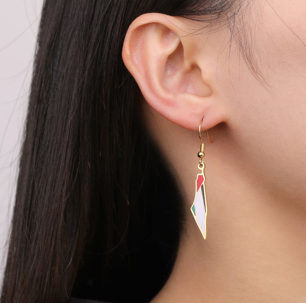 Palestine Earrings Gold/Silver