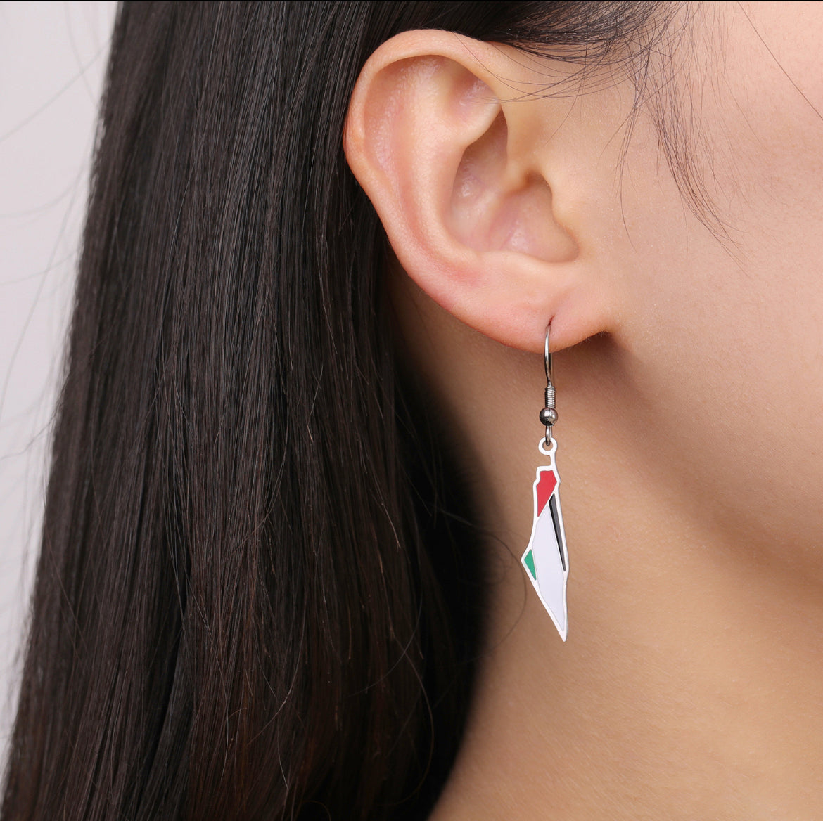 Palestine Earrings Gold/Silver