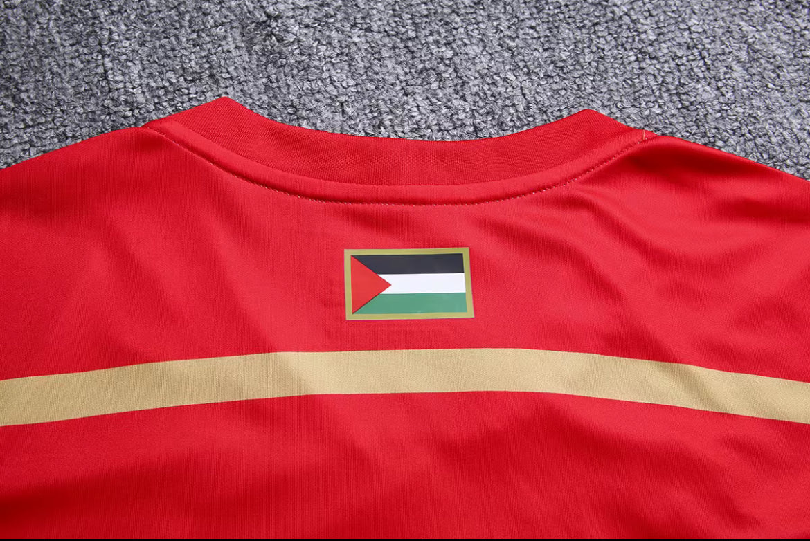 Palestine PFA T-shirt Black