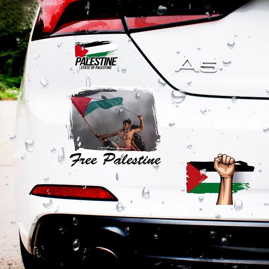 Palestine Car Sticker