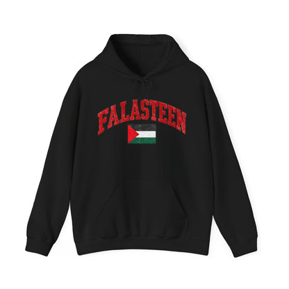 Falasteen Flag Hoodie