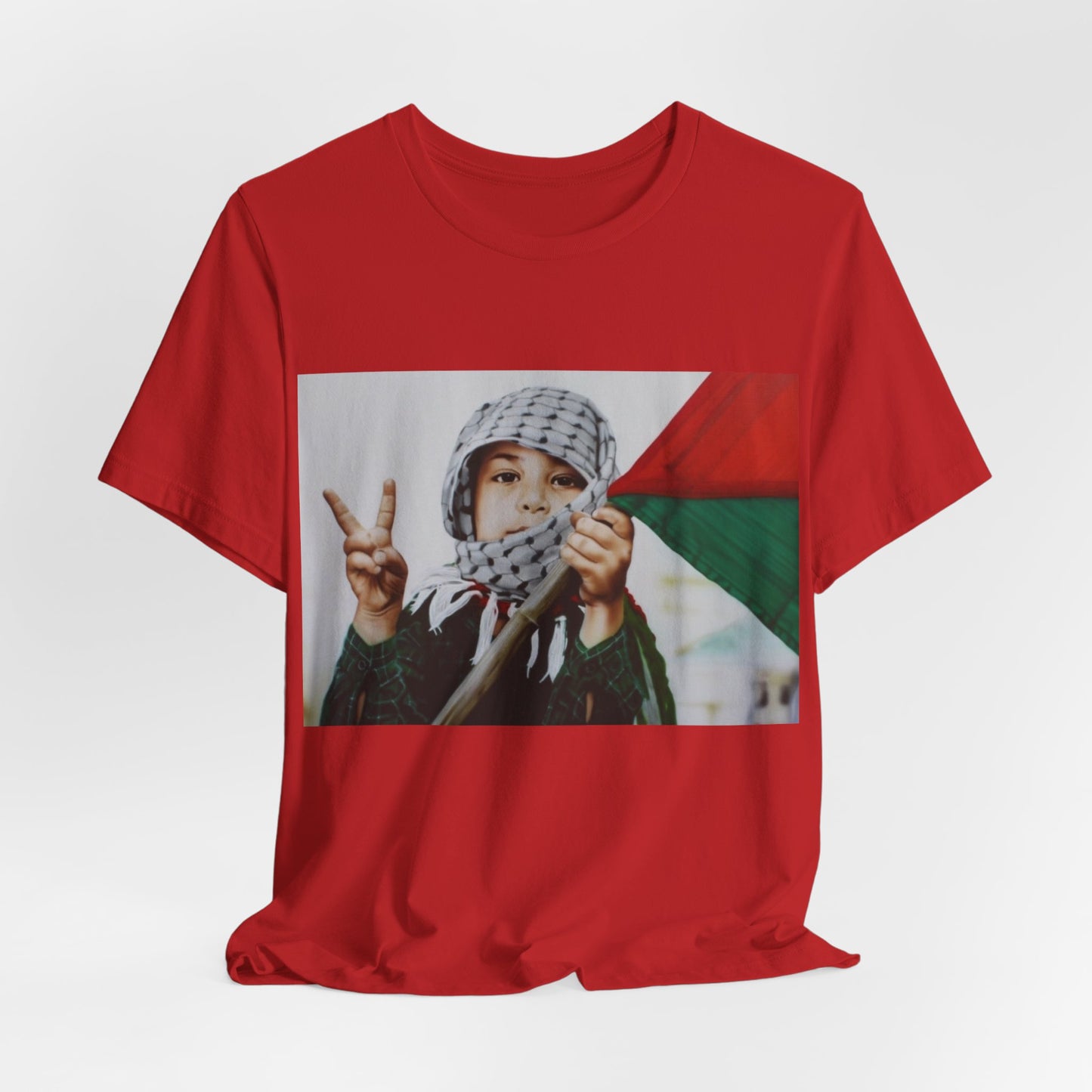 Camiseta Palestine Piece