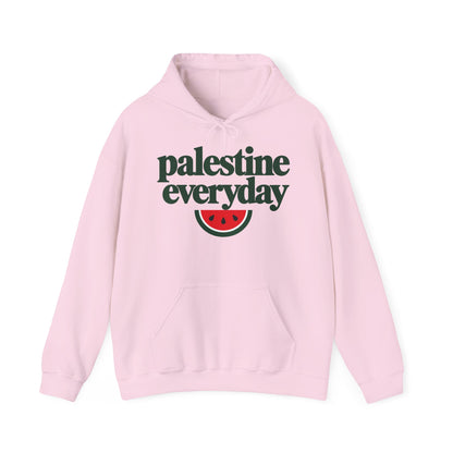 Palestine Everyday Hoodie in Light Pink, front with print