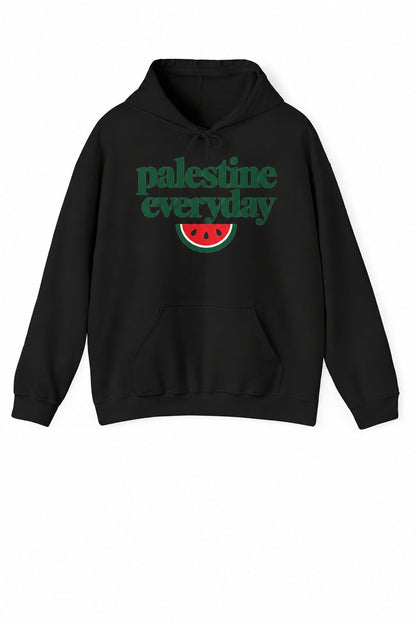 Palestine Everyday Hoodie in black, with front print