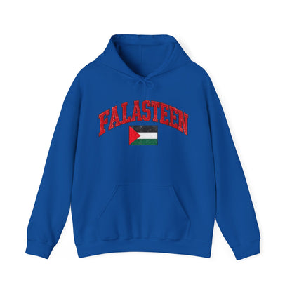 Falasteen Flag Hoodie