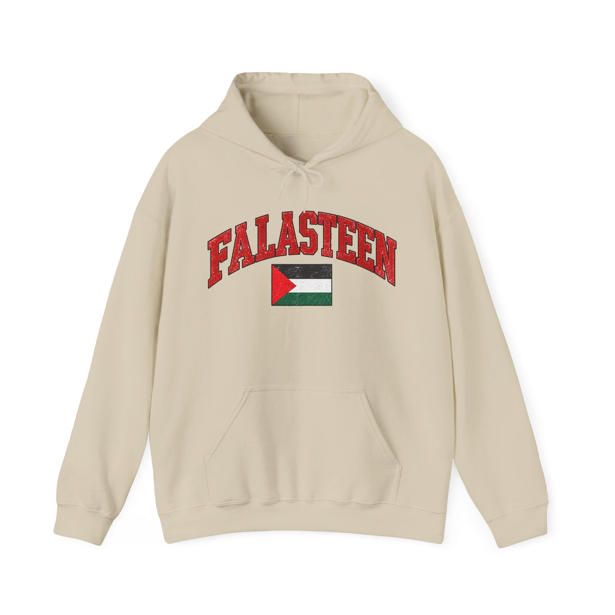 Falasteen Flag Hoodie