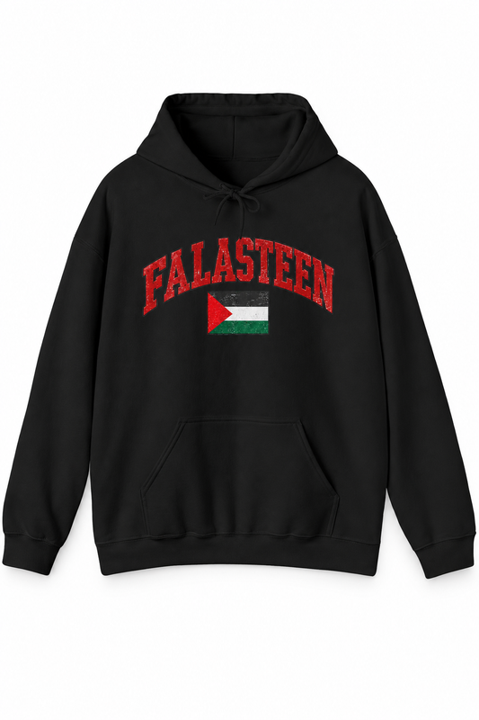 Falasteen Flag Hoodie