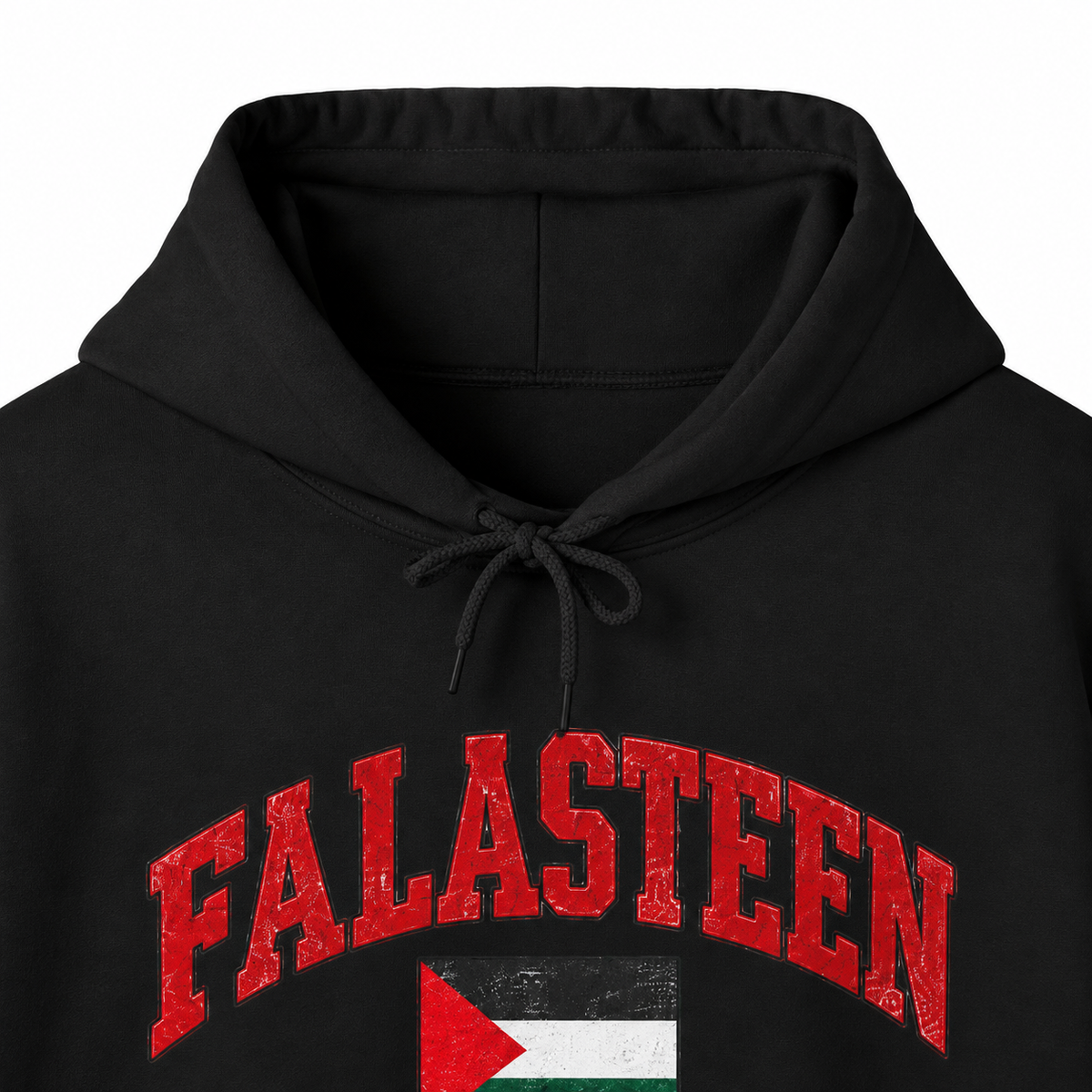 Falasteen Flag Hoodie