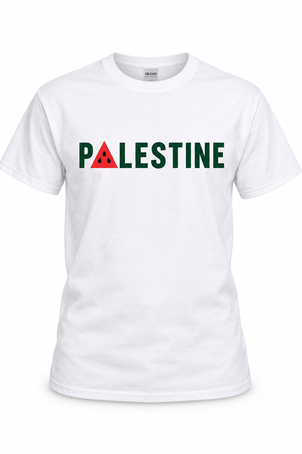 Palestine Watermelon Tee main