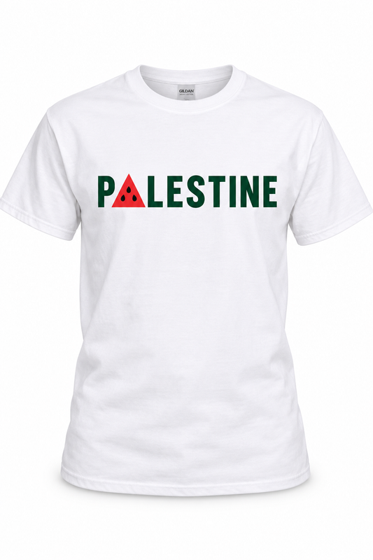 Palestine Watermelon Tee main